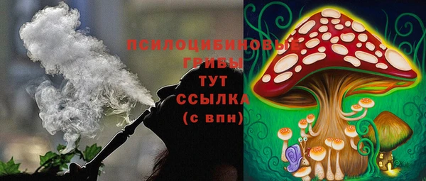 дурь Белоозёрский
