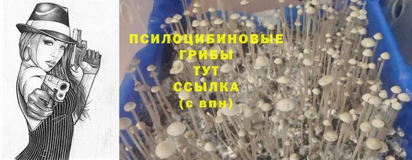 ешки Белокуриха