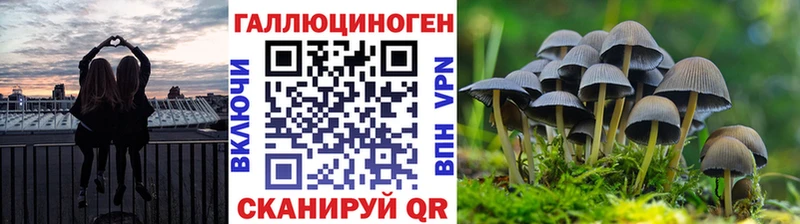 Галлюциногенные грибы GOLDEN TEACHER  Жердевка 